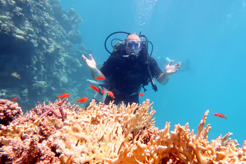 Sharm El-Sheikh: Ras Mohamed & White Island Snorkeling Trip image