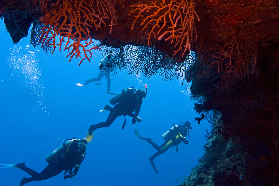 Sharm El-Sheikh: Ras Mohamed & White Island Snorkeling Trip image