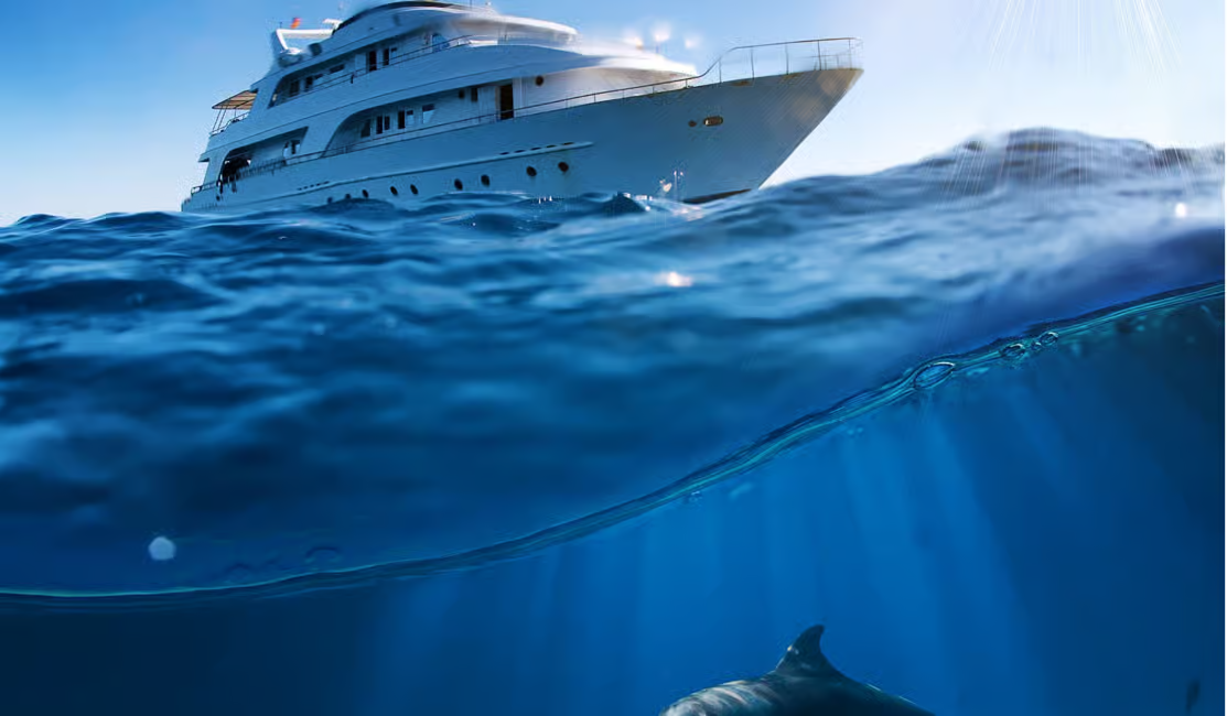 Sharm El-Sheikh: Ras Mohamed & White Island Snorkeling Trip image