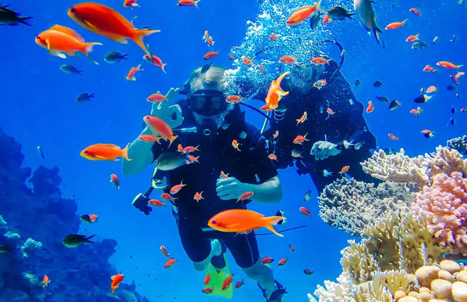 A Different World Beneath the Waves The Incredible Benefits of Scuba Diving You Do Not Know About In Egypt